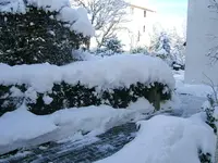DSCF4577.webp