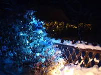 2010 01 06 005.webp
