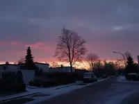 P1060648_2.webp