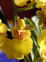 PA260016.webp