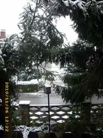 JD500038.webp