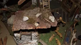 28.11.2010 006.webp