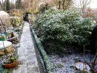 SDC12692.webp
