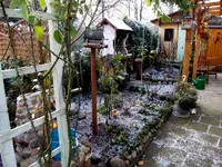 SDC12693.webp