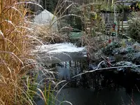 SDC12698.webp