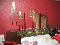 IMG_3320.webp