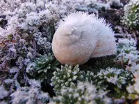 111winter.webp