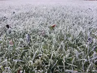 11121winter.webp