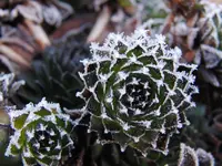 1122winter.webp