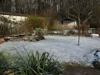 2010 -11-  Garten 080.webp