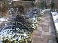 2010 -11-  Garten 081.webp