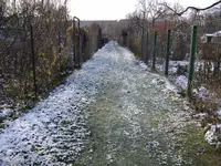 2010 -11-  Garten 083.webp