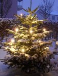 Christbaum 005.jpg