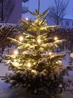 Christbaum 005.webp