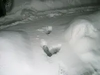 DSCF4579.webp