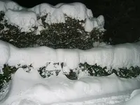 DSCF4580.webp