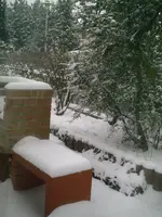 PIC00648.webp