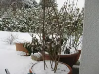 29.11.2010 007.webp