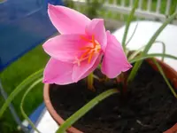 DSCN0422.webp