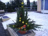 N 119.webp