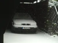 Rover.webp