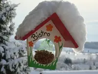Schnee 2010-2.webp