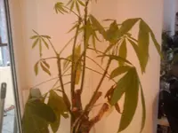 2010-11-29 11.46.58.webp