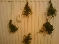 2010-11-29 11.45.51.webp