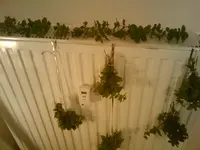 2010-11-29 11.46.30.webp