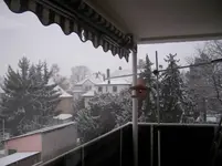 winterfütterung 001.webp