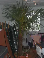 CIMG3084.webp