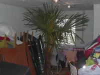 CIMG3083.webp