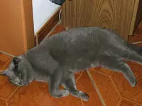 DSCF4593.webp