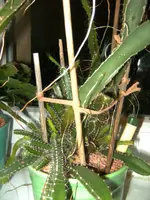 BILD1939.webp