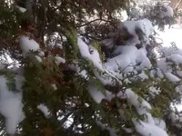 291120101740.webp