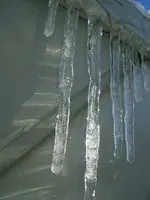 DSCF4600.webp