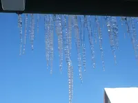 DSCF4601.webp