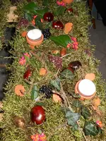 DSCN0336.webp