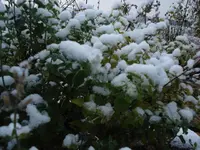 DSC02972.webp
