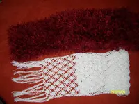 ALIM2664.webp