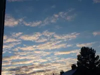 P1060688.webp