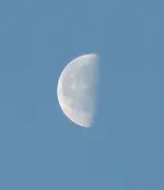 P1060690.webp