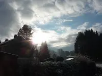 P1060695.webp
