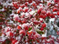 P1060700_2.webp