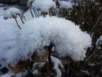 P1060703_2.webp