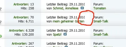Bild2.webp