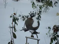 2010 12 02 031.webp