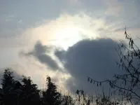 2010 12 02 012.webp