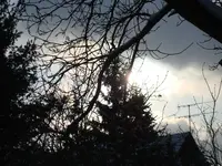 2010 12 02 035.webp