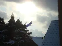 2010 12 02 045.webp